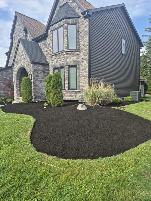 Completed Mayday landscaping with fresh dark mulch and shrubs beside a stone-front home